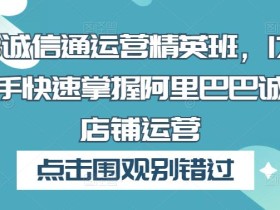 1688诚信通运营精英班,17节课让新手快速掌握阿里巴巴诚信通店铺运营