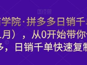 白凤电商学院·拼多多日销千单训练营,从0开始带你做好拼多多,日销千单快速复制(更新知2023年3月)