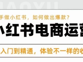 红商学院·小红书电商运营课,新手做小红书如何快速做出爆款,从入门到精通,体验不一样的收货