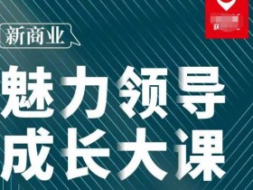 张琦·新商业魅力领导成长大课2023新版,高效管理必修课(30节)