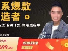 锋投老叶全店动销,淘系干货汇总,各种玩法,淘系爆款打造者