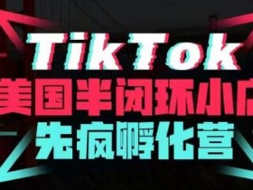 疯人院·TikTok美国半闭环小店孵化营,抢占TikTok美国蓝海市场,开店、运营、带货、投流全实操