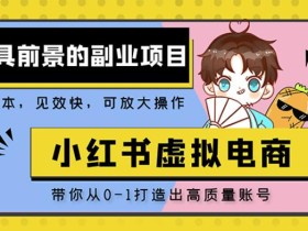 小红书蓝海大市场虚拟电商项目,手把手带你打造出日赚2000+高质量红薯账号