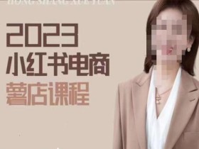 2023小红书电商课,新手小白从0~1玩转小红书薯店电商