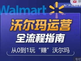 沃尔玛店铺前期运营从零到一最全指南,全面挖掘沃尔玛入门盲区,深度打造新手实操技巧