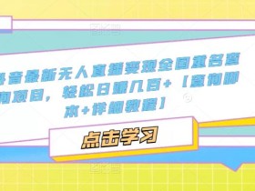 抖音最新无人直播变现全国重名查询项目,轻松日赚几百+【查询脚本+详细教程】
