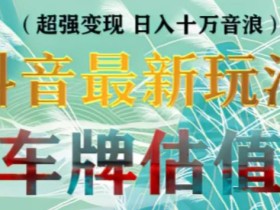 抖音最新无人直播变现直播车牌估值玩法项目,轻松日赚几百+【详细玩法教程】