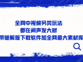 全网中视频另类玩法,都在闷声发大财,附带破解版下载软件加全网最大素材库