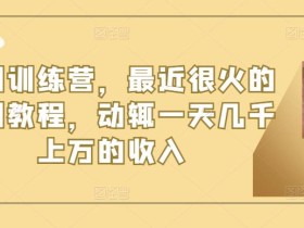 短剧训练营,最近很火的短剧教程,动辄一天几千上万的收入