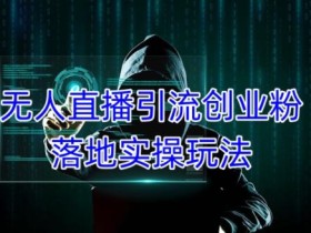 外面收费3980的无人直播引流创业粉落地实操玩法,单日引100+精准创业粉
