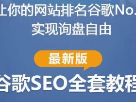 谷歌SEO实战教程:如何让你的网站在谷歌排名第一,内容从入门到高阶,适合个人及团队