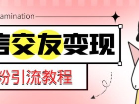 微信交友变现项目,吸引全网LSP男粉精准变现,小白也能轻松上手,日入500+