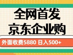3月最新京东企业购教程,小白可做单人日利润500+撸货项目(仅揭秘)