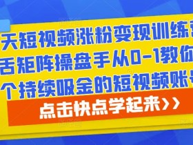 30天短视频涨粉变现训练营,毒舌矩阵操盘手从0-1教你做一个持续吸金的短视频账号