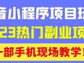 抖音小程序9.0新技巧,2023热门副业项目,动动手指轻松变现
