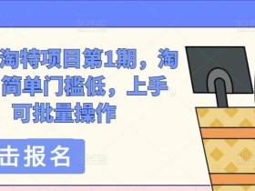 绅白不白-淘特项目第1期,淘特玩法,简单门槛低,上手快,可批量操作
