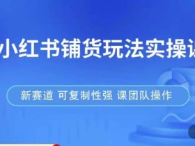 小红书铺货玩法实操课,流量大,竞争小,非常好做,新赛道,可复制性强,可团队操作