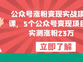 公众号涨粉变现实战项目课,5个公众号变现项目,实测涨粉23万