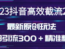 日引300+创业粉,独家抖音高效截流2.0玩法(价值1280)