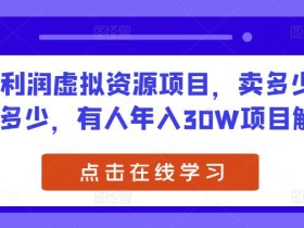 高利润虚拟资源项目,卖多少就赚多少,有人年入30W项目解密