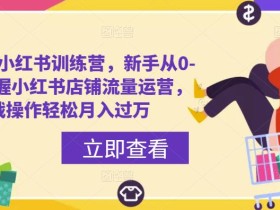 百宝电商小红书训练营,新手从0-1快速掌握小红书店铺流量运营,实战操作轻松月入过万