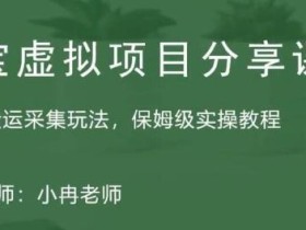 淘宝虚拟整店搬运采集玩法分享课:整店搬运采集玩法,保姆级实操教程