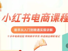 小红书电商新手入门到精通实操课,从入门到精通做爆款笔记,开店运营