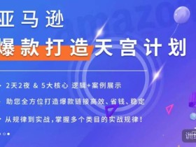亚马逊爆款打造天宫计划,5大核心逻辑+案例展示,助你全方位打造爆款链接高效、省钱、稳定