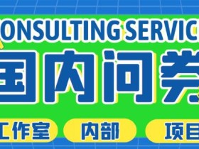 最新工作室内部国内问卷调查项目,单号轻松日入30+多号多撸【详细玩法教程】