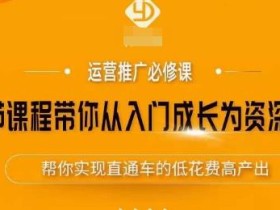 35节课程带你从入门成长为资深车手,让系统学习直通车成为可能,帮你实现直通车的低花费高产出