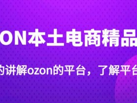 老迟·OZON本土电商精品课,系统的讲解ozon的平台,学完可独自运营ozon的店铺