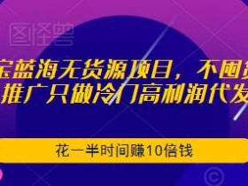 淘宝蓝海无货源项目,不囤货不推广只做冷门高利润代发,花一半时间赚10倍钱