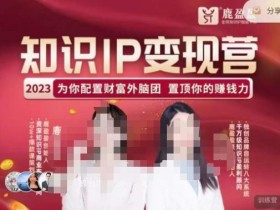 鹿盈盈-知识IP变现实操营,普通人可复制的知识产品落地实操课,带你打通知识IP变现底层逻辑