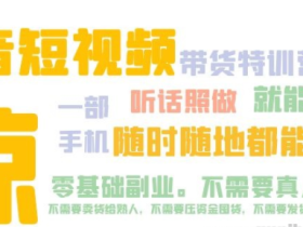 抖音短视频带货特训营15期:一部手机 听话照做 就能出单 随时随地都能赚钱