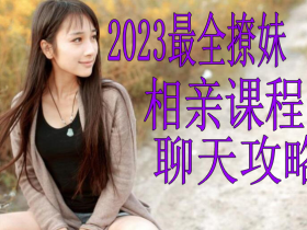 2023最全撩妹+相亲课程+聊天攻略 可自用可挂闲鱼出售