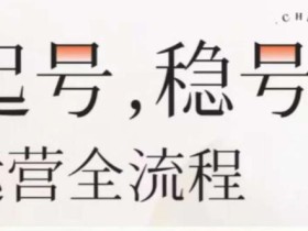 婉婉-起号稳号运营全流程,解决从小白到进阶所有运营知识,帮助解决账号所有运营难题