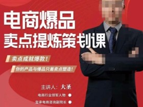 大圣·电商标品爆款卖点策划课,标品卖点成就爆款,可落地卖点提炼课
