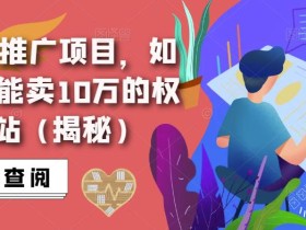 搜索霸屏推广项目,如何做一个能卖10万的权重6网站(揭秘)