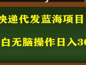 2023最新蓝海快递代发项目,小白零成本照抄也能日入300+
