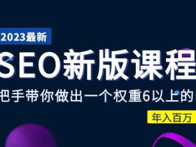2023某大佬收费SEO新版课程:手把手带你做出一个权重6以上的网站,年入百万