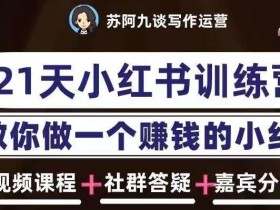 苏阿九第六期21天小红书训练营,打造爆款笔记,教你做一个赚钱的小红书