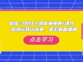 哈哥·3月线下实操课高清视频+课件,如何玩转小而美,高毛利直播间