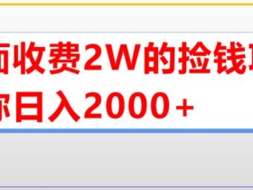 外面收费2w的直播买货捡钱项目,号称单场直播撸2000+【详细玩法教程】