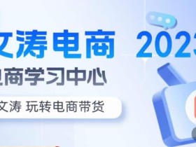 文涛电商·7天零基础自然流起号,快速掌握店铺运营的核心玩法,突破自然展现量,玩转直播带货