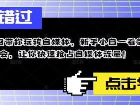 11招带你玩转自媒体,新手小白一看就会,让你快速抢占自媒体流量!