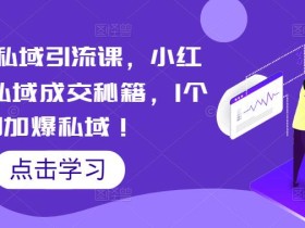 小红书私域引流课,小红书引流私域成交秘籍,1个月加爆私域!