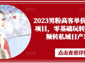 2023男粉高客单价实操落地项目,零基础玩转男粉短视频转私域日产500+