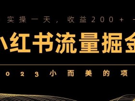 2023小而美的项目,小红书流量掘金,实操一天,收益200+【揭秘】