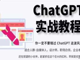 ChatGPT实战教程,带你从小白成为ChatGPT专家,未来淘汰你的不一定是GPT,但一定是会使用GPT的人