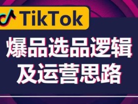 TikTok爆品选品逻辑及运营思路:解决网络环境快速入门TikTok